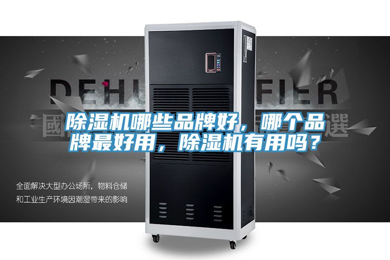 除濕機(jī)哪些品牌好,哪個品牌最好用,除濕機(jī)有用嗎?