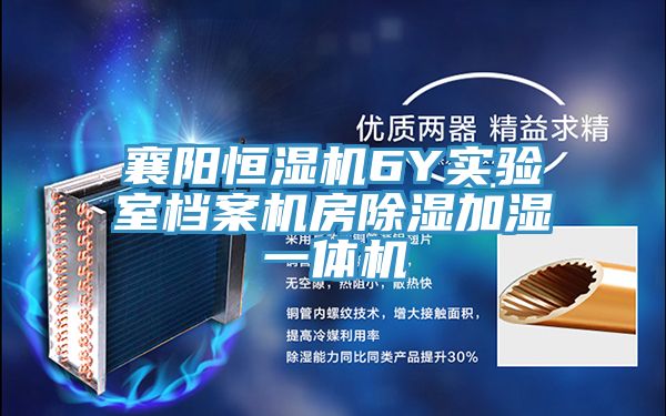 襄陽恒濕機(jī)6Y實驗室檔案機(jī)房除濕加濕一體機(jī)
