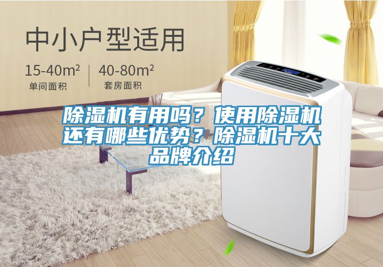 除濕機(jī)有用嗎？使用除濕機(jī)還有哪些優(yōu)勢？除濕機(jī)十大品牌介紹