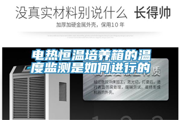 電熱恒溫培養(yǎng)箱的溫度監(jiān)測是如何進(jìn)行的