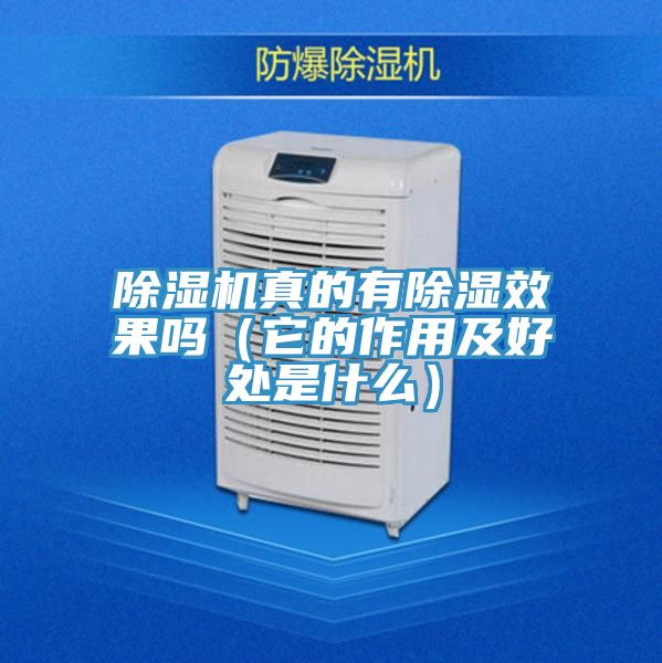 除濕機(jī)真的有除濕效果嗎(它的作用及好處是什么)