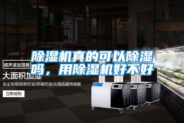 除濕機(jī)真的可以除濕嗎,用除濕機(jī)好不好