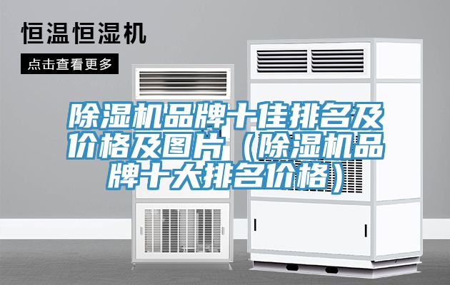 除濕機品牌十佳排名及價格及圖片(除濕機品牌十大排名價格)