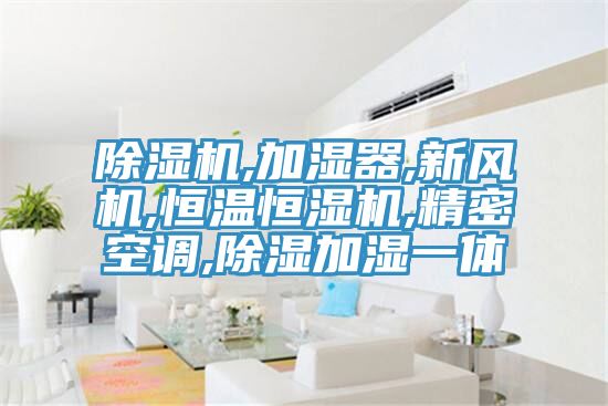 除濕機,加濕器,新風機,恒溫恒濕機,精密空調,除濕加濕一體