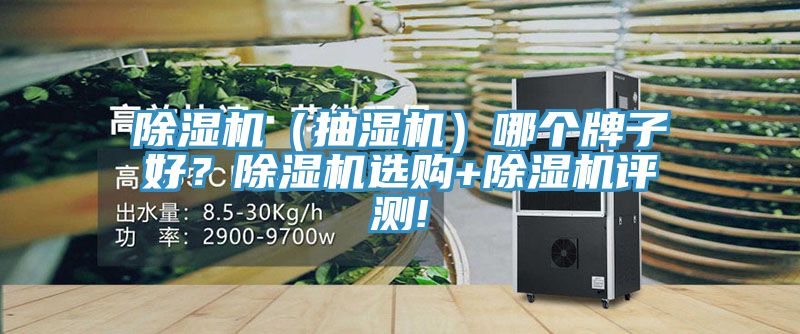 除濕機(抽濕機)哪個牌子好?除濕機選購+除濕機評測!
