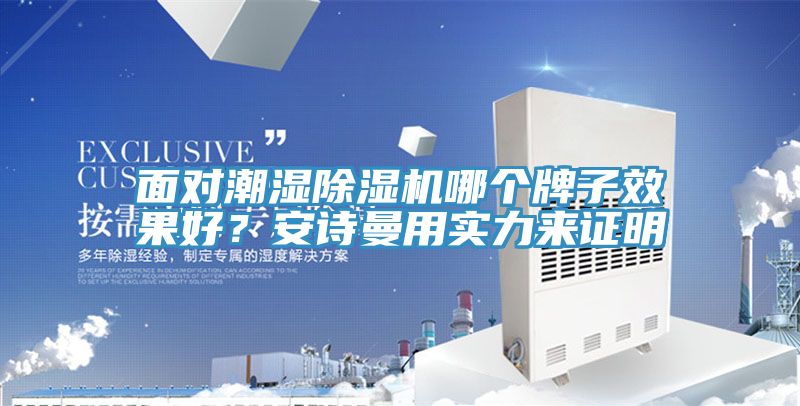 面對潮濕除濕機哪個牌子效果好?安詩曼用實力來證明
