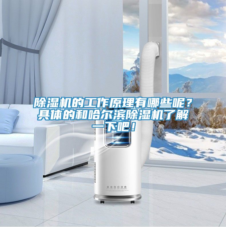 除濕機的工作原理有哪些呢?具體的和哈爾濱除濕機了解一下吧!