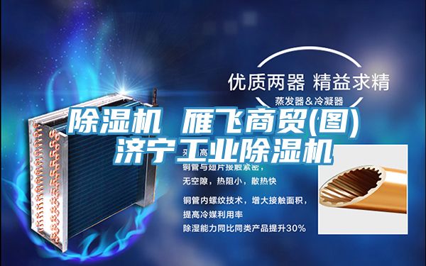 除濕機 雁飛商貿(圖) 濟寧工業除濕機