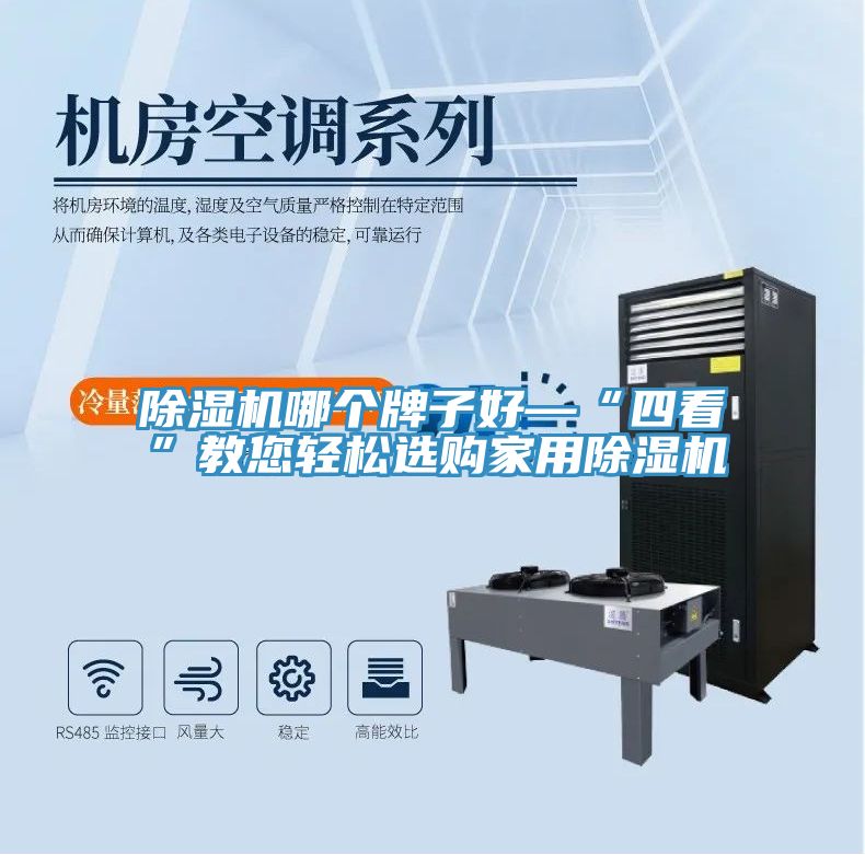 除濕機(jī)哪個牌子好—“四看”教您輕松選購家用除濕機(jī)