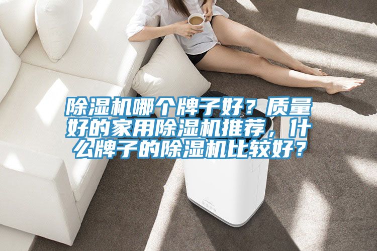 除濕機哪個牌子好?質量好的家用除濕機推薦,什么牌子的除濕機比較好?