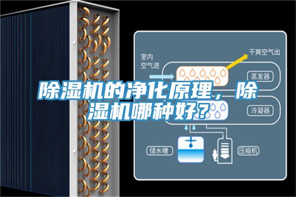 除濕機的凈化原理，除濕機哪種好？