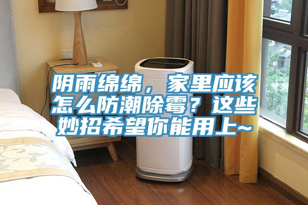 陰雨綿綿，家里應(yīng)該怎么防潮除霉？這些妙招希望你能用上~