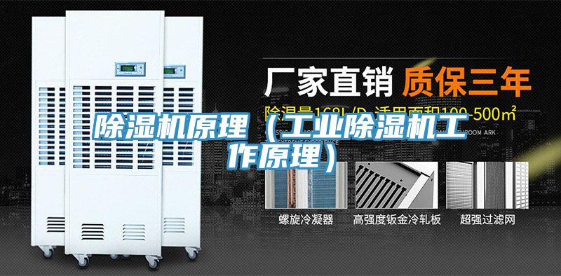 除濕機(jī)原理(工業(yè)除濕機(jī)工作原理)
