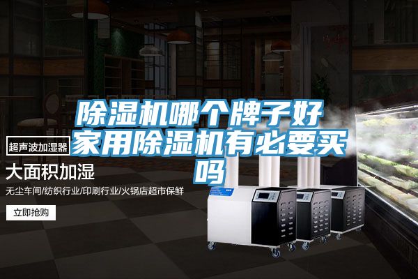 除濕機(jī)哪個牌子好 家用除濕機(jī)有必要買嗎