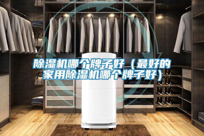 除濕機(jī)哪個牌子好(最好的家用除濕機(jī)哪個牌子好)