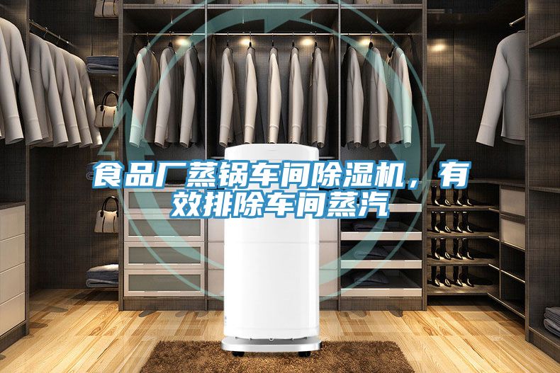 食品廠蒸鍋車間除濕機,有效排除車間蒸汽