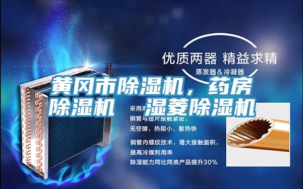 黃岡市除濕機,藥房除濕機 濕菱除濕機