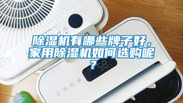 除濕機有哪些牌子好，家用除濕機如何選購呢？