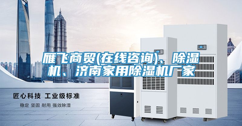 雁飛商貿(mào)(在線咨詢)、除濕機(jī)、濟(jì)南家用除濕機(jī)廠家