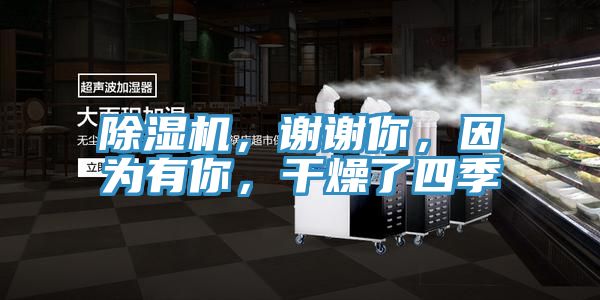 除濕機,謝謝你,因為有你,干燥了四季