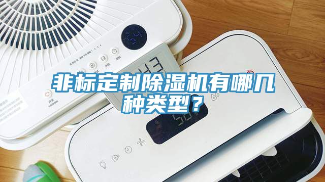 非標定制除濕機有哪幾種類型?