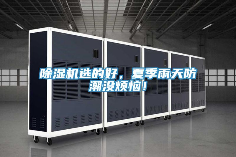 除濕機選的好,夏季雨天防潮沒煩惱!