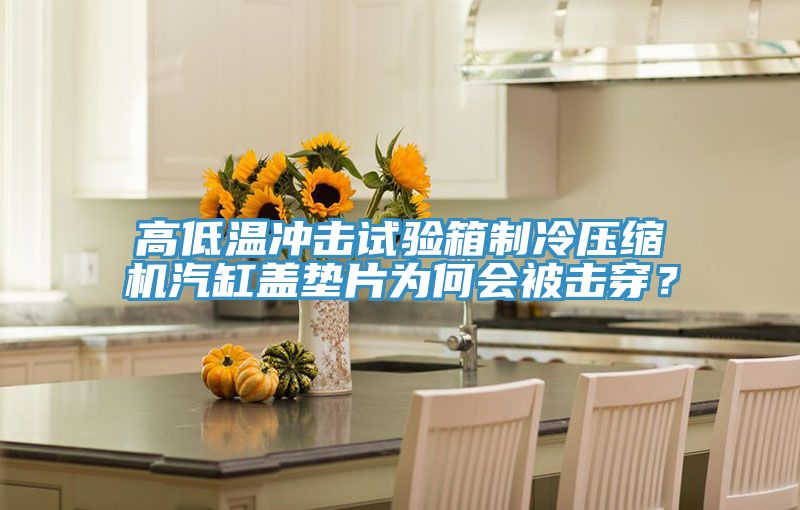 高低溫沖擊試驗箱制冷壓縮機汽缸蓋墊片為何會被擊穿?