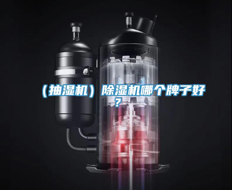 （抽濕機）除濕機哪個牌子好？
