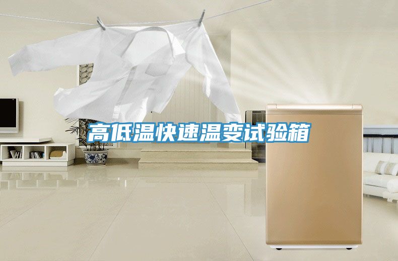 高低溫快速溫變?cè)囼?yàn)箱