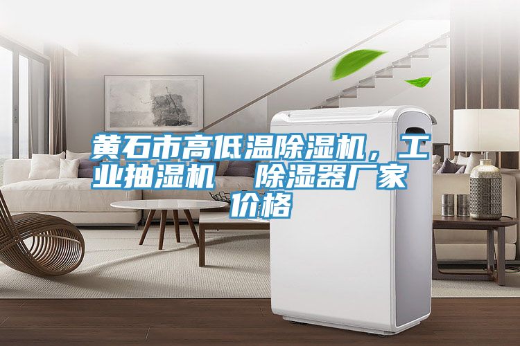 黃石市高低溫除濕機,工業(yè)抽濕機 除濕器廠家 價格