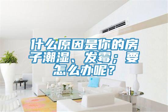 什么原因是你的房子潮濕、發(fā)霉；要怎么辦呢？