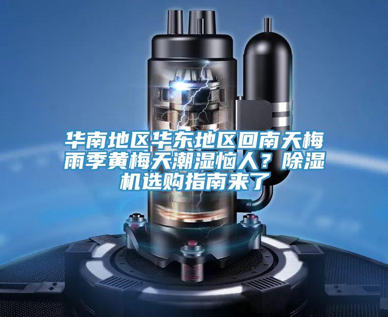 華南地區華東地區回南天梅雨季黃梅天潮濕惱人？除濕機選購指南來了