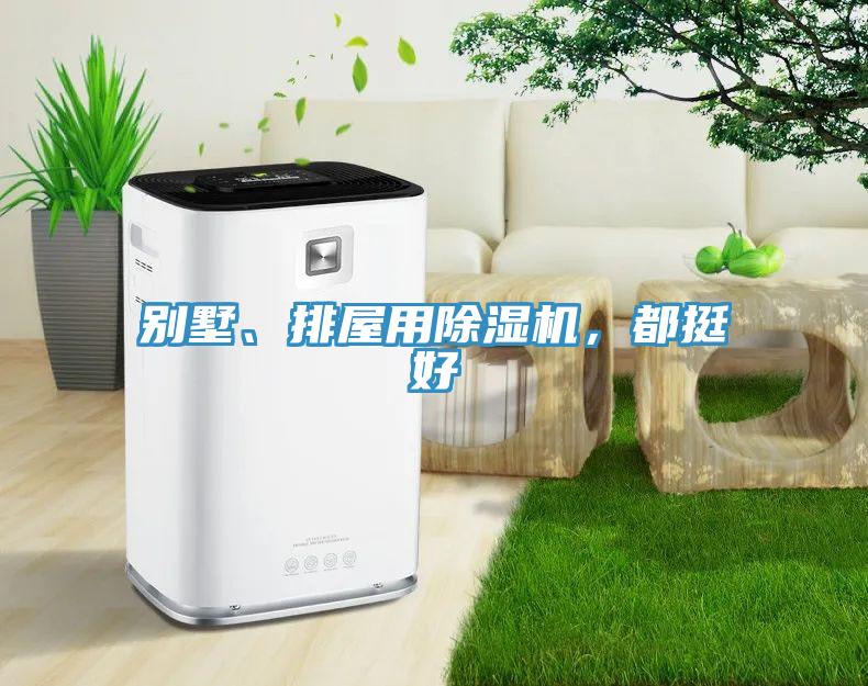 別墅、排屋用除濕機，都挺好