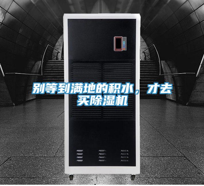 別等到滿地的積水，才去買(mǎi)除濕機(jī)