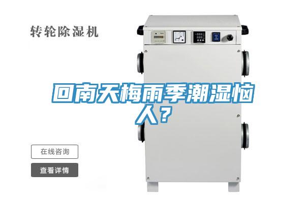 回南天梅雨季潮濕惱人？